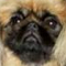 Lola