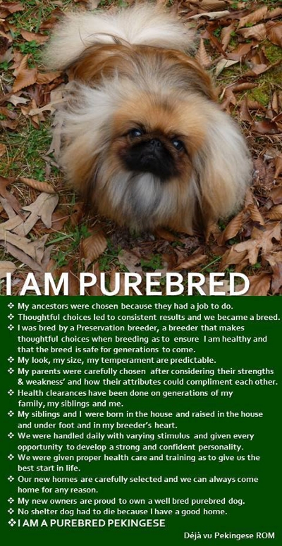 I Am Purebred