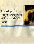 Daytona Journal 2006