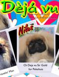 Deja vu Heart Dog