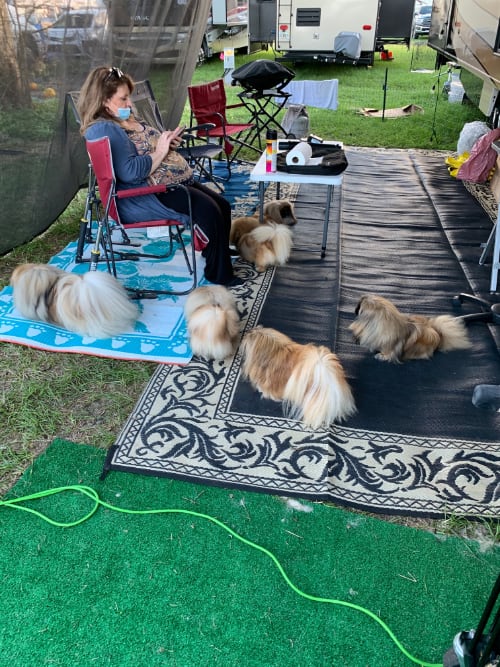 RV Life