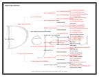 Pedigree